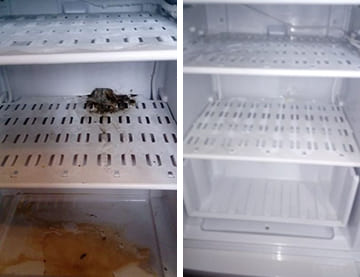 Очистка холодильника от загрязнений пример до и после